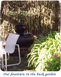 Our fountain in the back garden